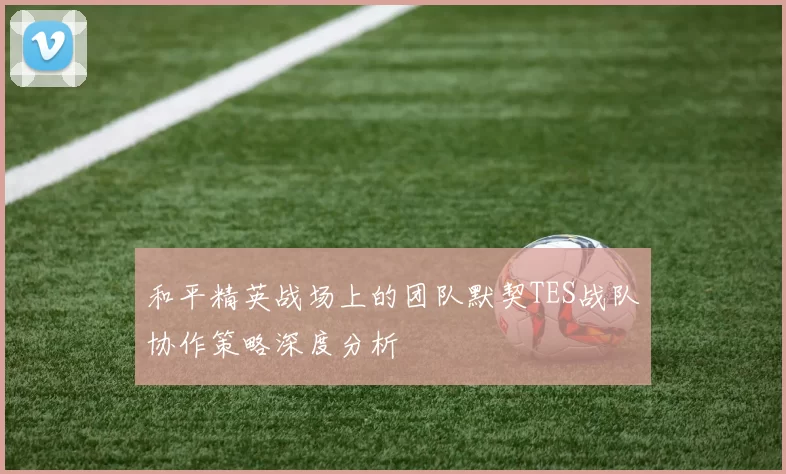 和平精英战场上的团队默契TES战队协作策略深度分析