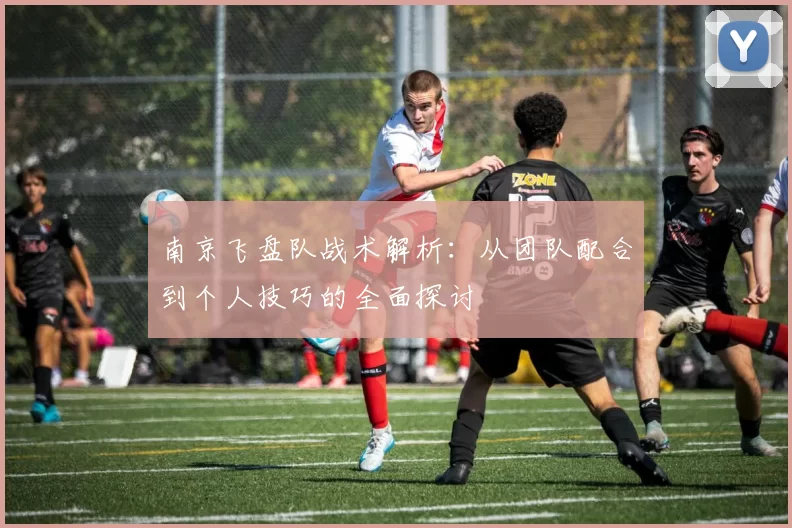 南京飞盘队战术解析：从团队配合到个人技巧的全面探讨