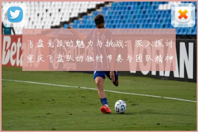 飞盘竞技的魅力与挑战：深入探讨重庆飞盘队的独特节奏与团队精神