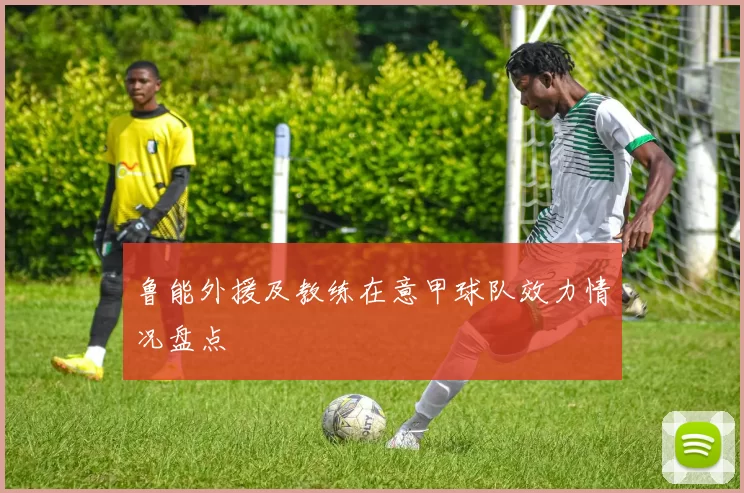 鲁能外援及教练在意甲球队效力情况盘点
