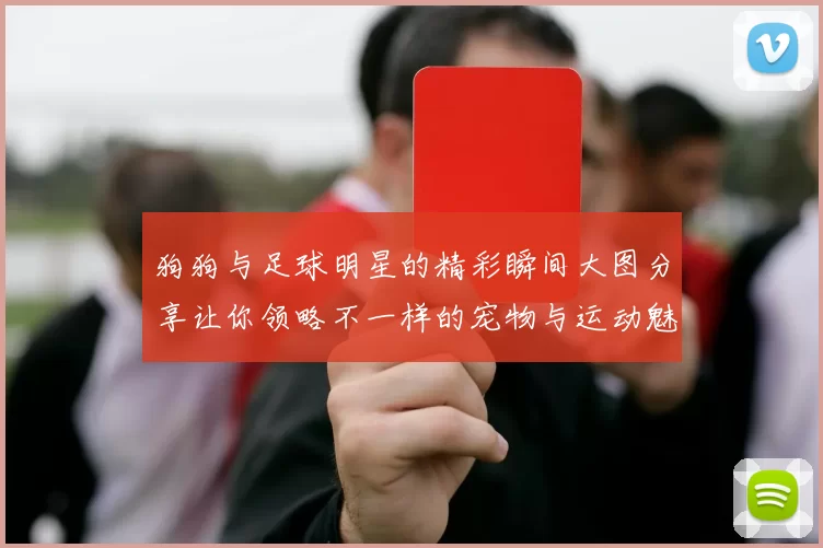 狗狗与足球明星的精彩瞬间大图分享让你领略不一样的宠物与运动魅力